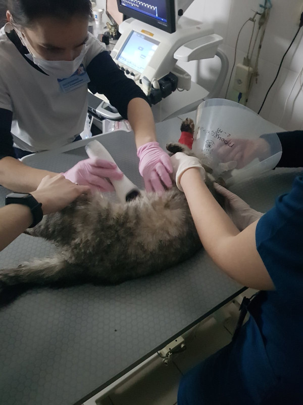 C4934E74-5F37-4EED-8530-ED6F151C7887