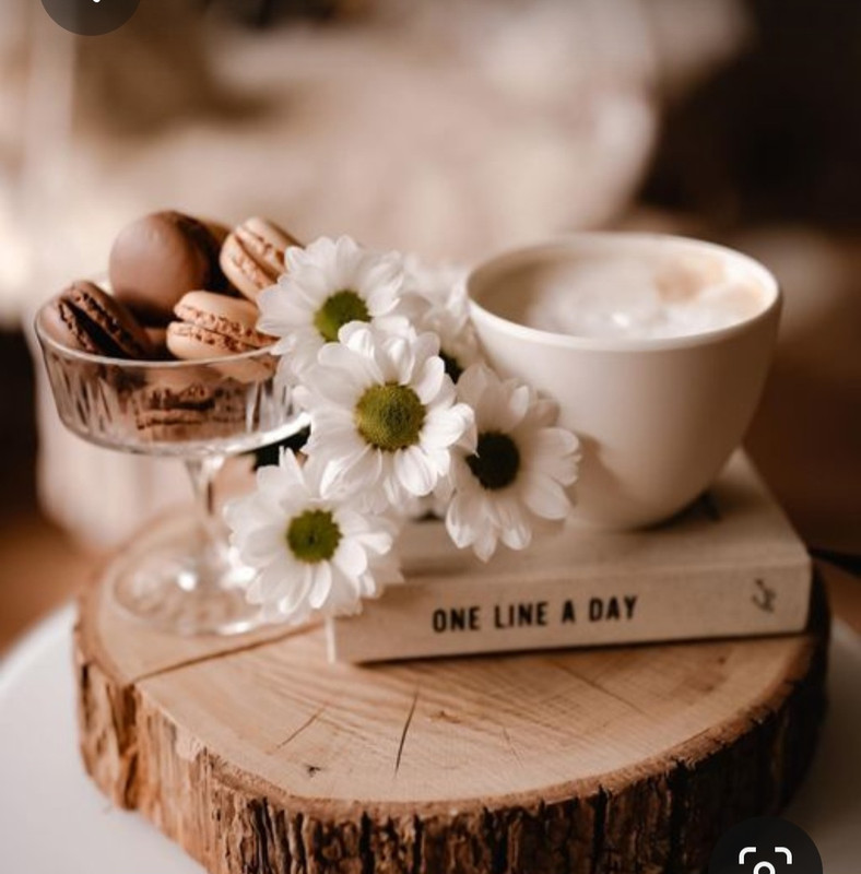 Screenshot_20230622_012317_Pinterest