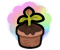 7c.png