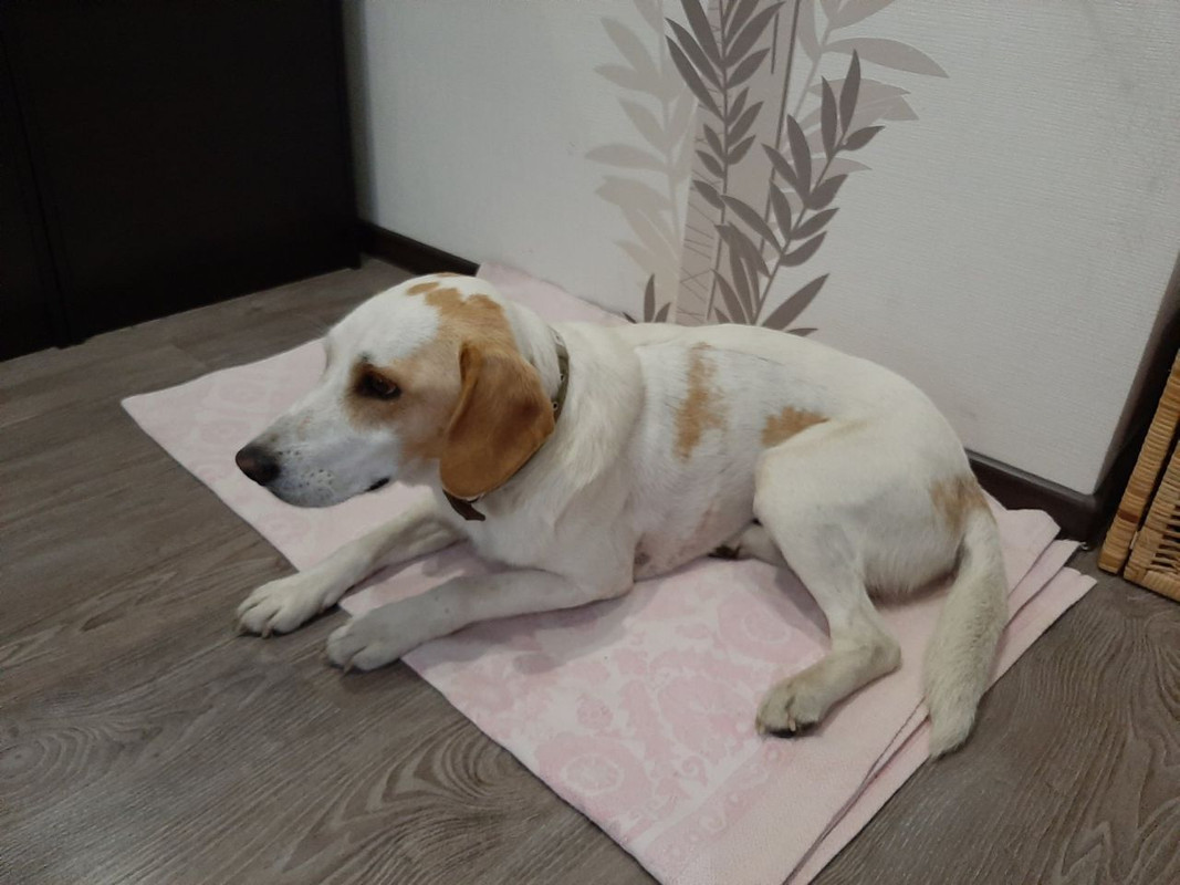 77B6A9B3-CCD6-461A-B9AC-486D6E518B32