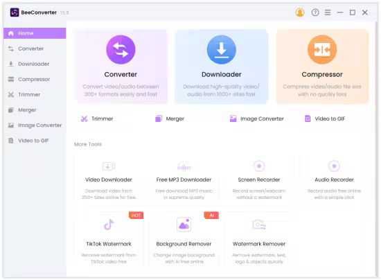 AmoyShare BeeConverter Pro 1.7.0