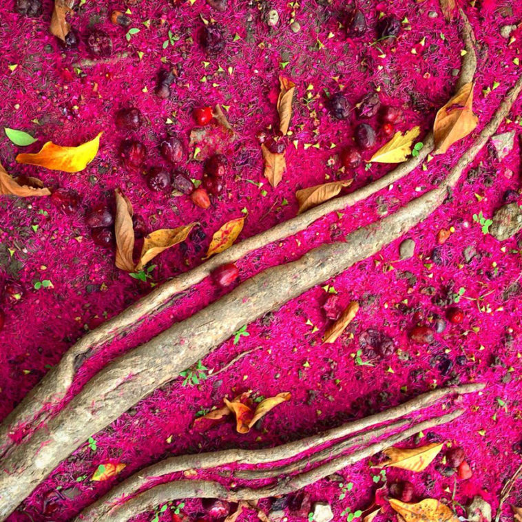 Победители конкурса фотографий, сделанных на iPhone, в очередной раз доказывают, что с помощью телефона можно сделать крутые снимки!