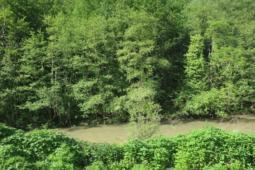 Travnik2019