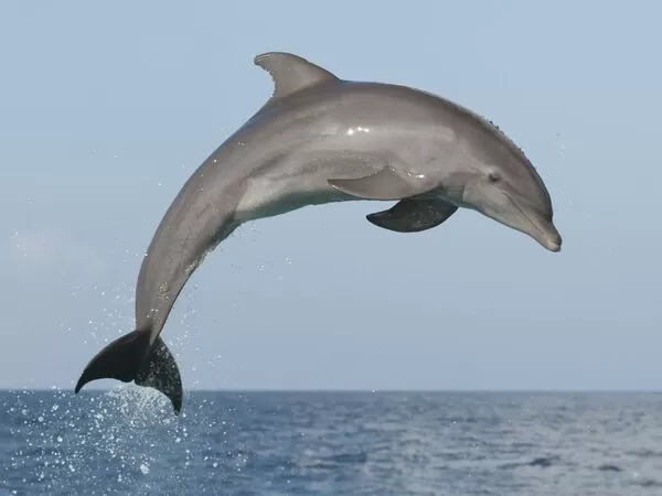 [Image: dsfdsf-59-1-1690735374.webp]