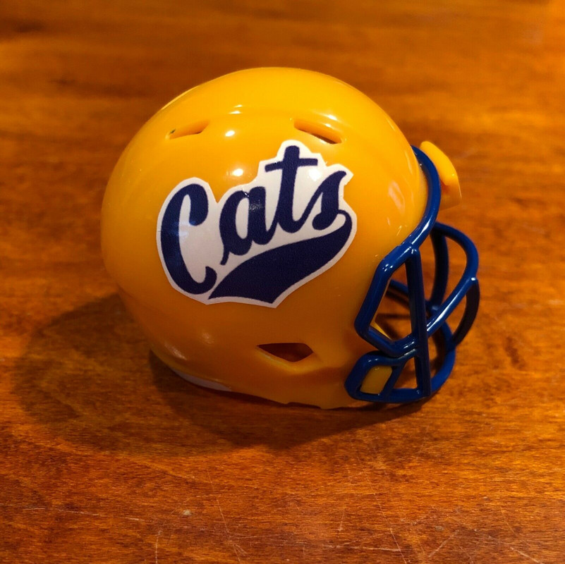 Cool Custom MSU Football Helmets - The Bobcat Nation
