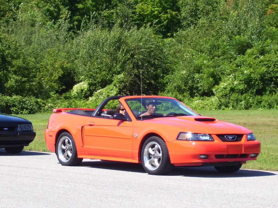 ford - Montréal Mustang: 40 ans et + d’activités! (Photos-Vidéos,etc...) - Page 19 100-0494