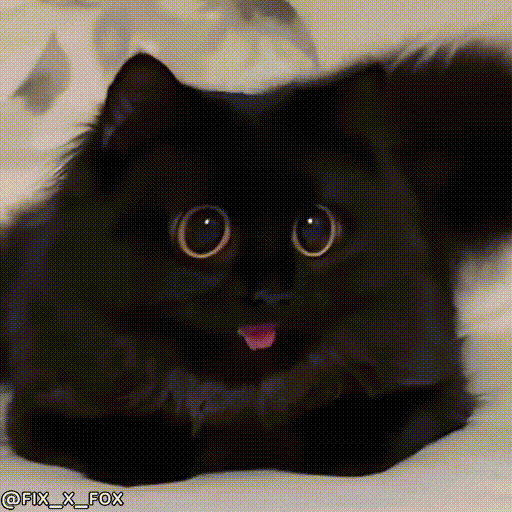 sticker.gif