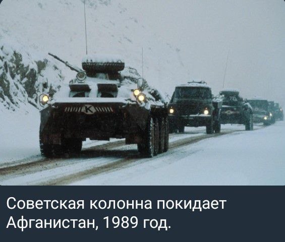 https://i.postimg.cc/XNGrbCHn/photo-2026-05-25-01-24-41.jpg