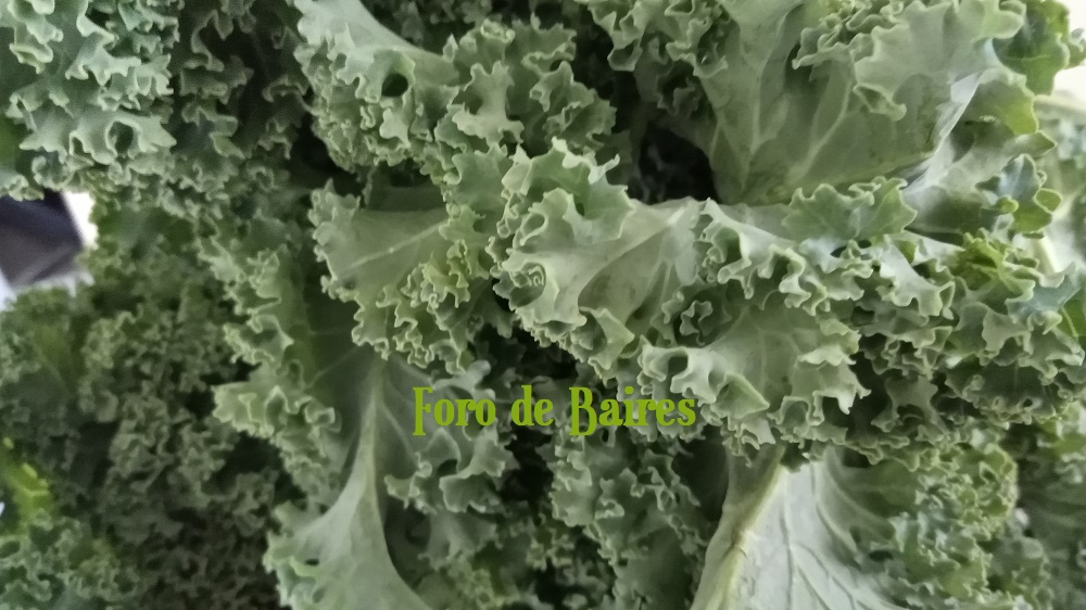 fotobrocoli2