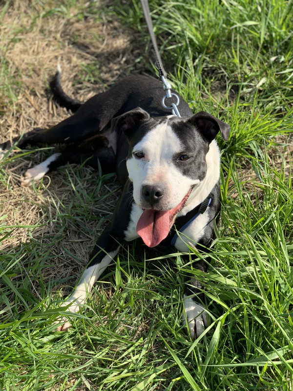 D42BB82A-7EED-4A28-9D4C-4BA99EA4D55E