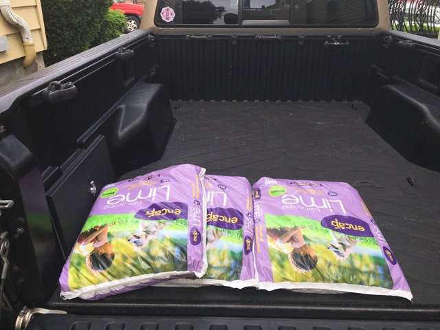 Calcitic Lime TSC - 1