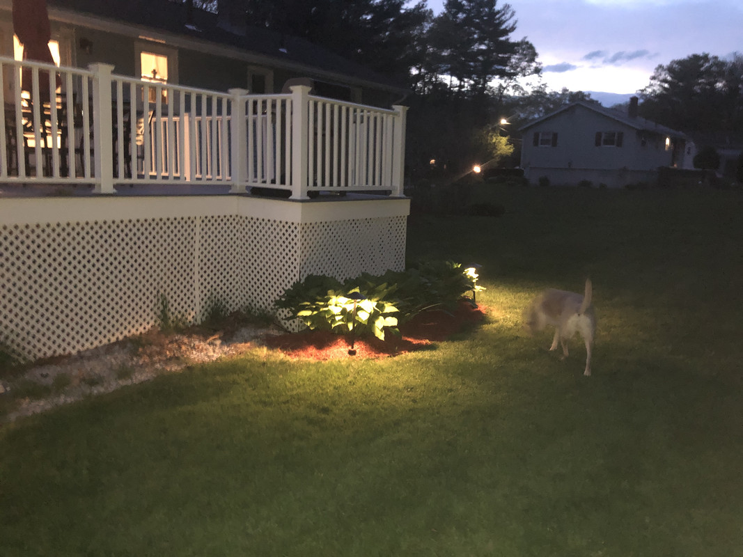 B2BF121D-33C3-4974-9CA4-1E337D25F904