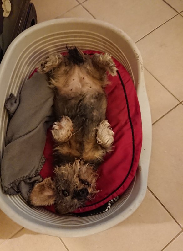 [Image: 20231210-211046.jpg]