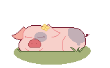 Daisy sleeping