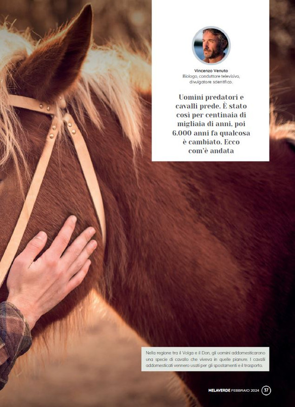 melaverde Feb 2024 (4)