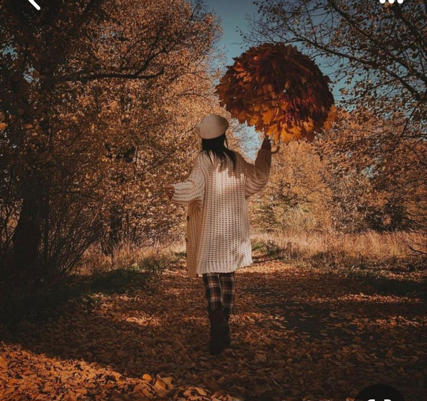 Screenshot_20231127_224138_Pinterest