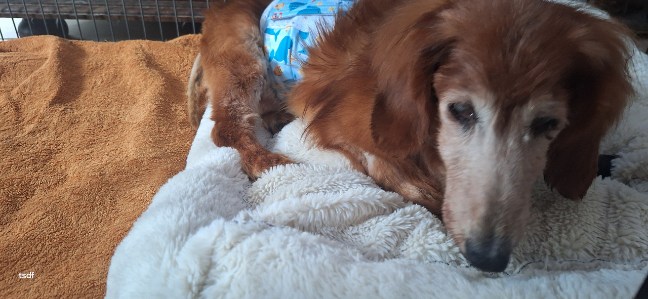 [Image: 20250307-091710.jpg]