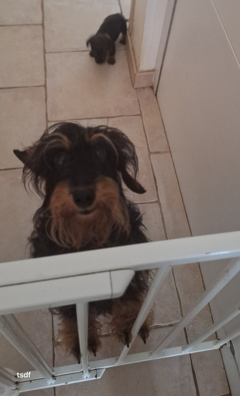 [Image: 20250528-181244.jpg]