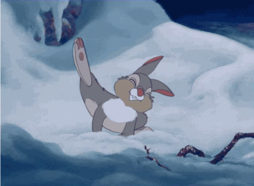 thumper-getting-snow-off-ears-mhxecjms5s07f9kv
