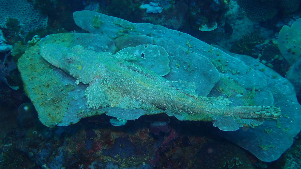 9DA1D794-1F2A-49A0-90B1-AFCF38E2E154