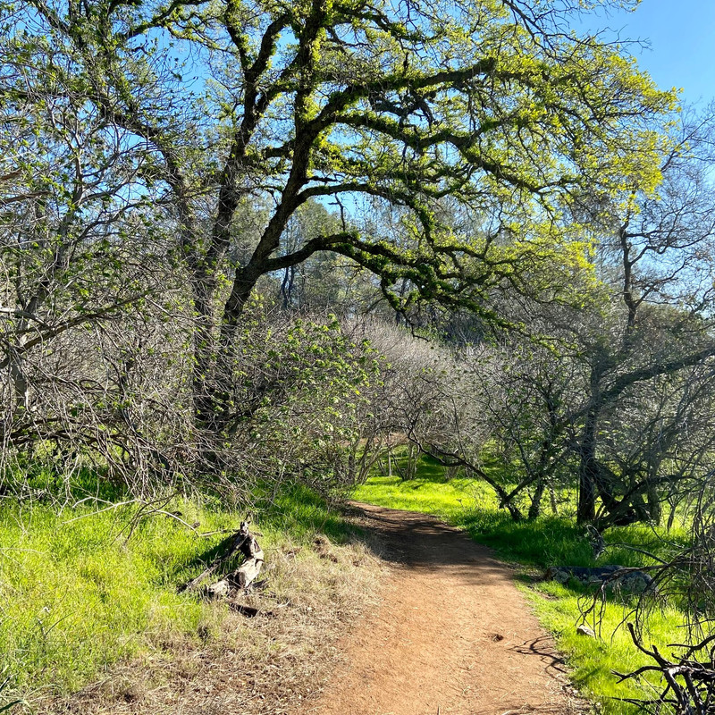 FC58CD06-43BF-470B-8B85-DA85D31432A3