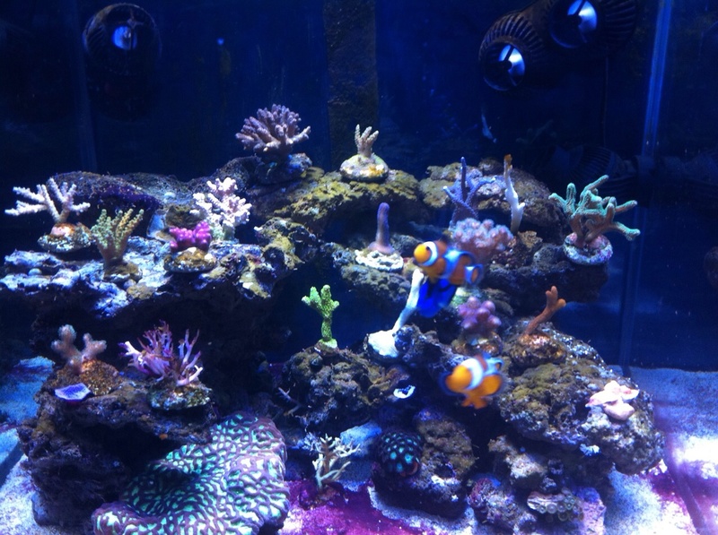 AmKL7CIvWmILsME2DvmvMLLDdQbpNV0nNRd1GlmC4c84