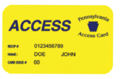 PA Access Card