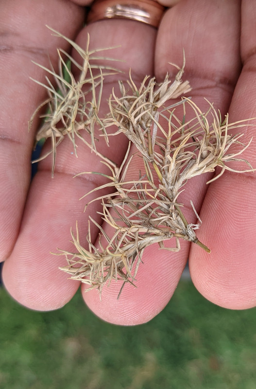 PXL_20200823_205327462.MP