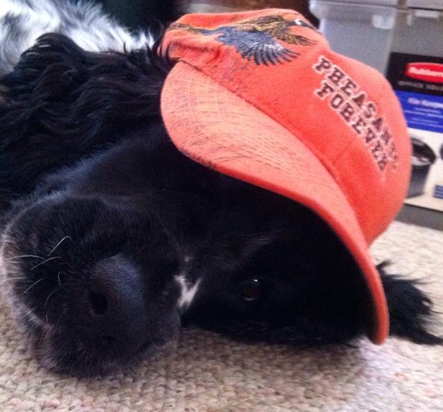 76FC5C9A-6489-4710-9F63-02E3F2907195