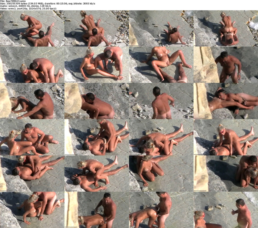 24112024093348screenshot