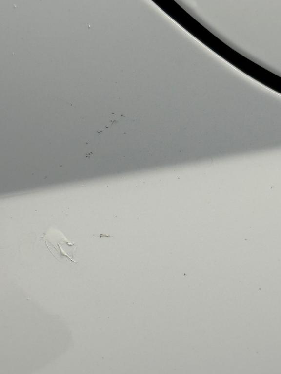 Pegotes pintura aranazos