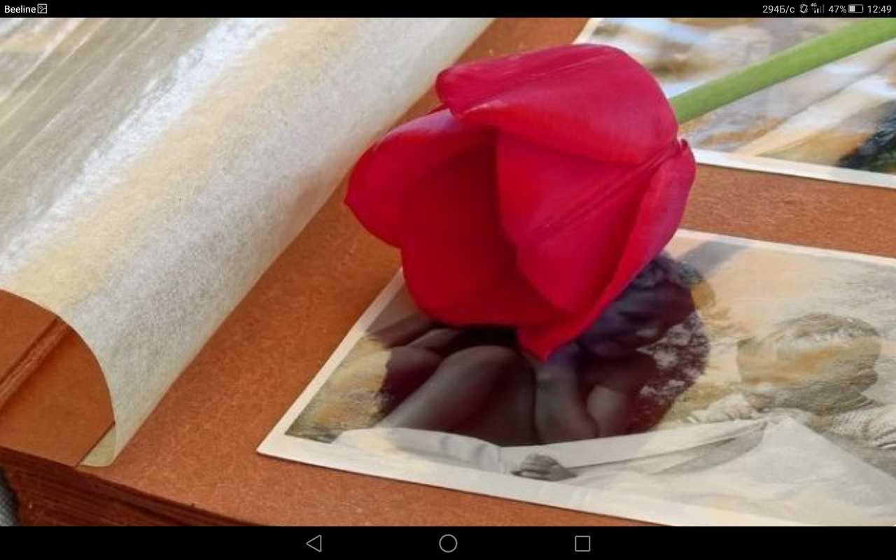 Screenshot_2023-09-30-12-49-26