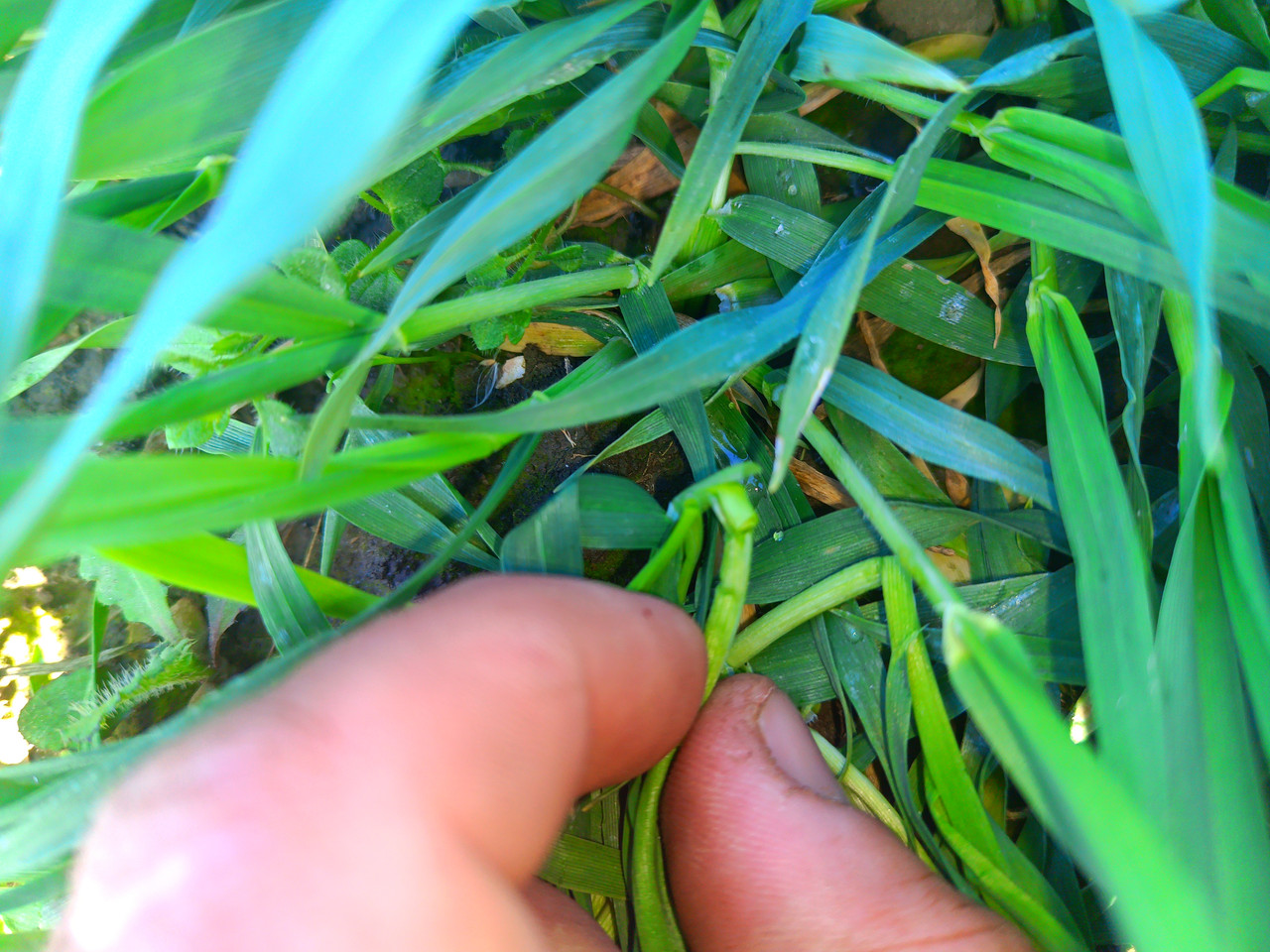 IMG 20260309 130039 608