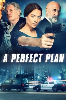 A-Perfect-Plan-2020-1080p-WEBRip-x265-RA