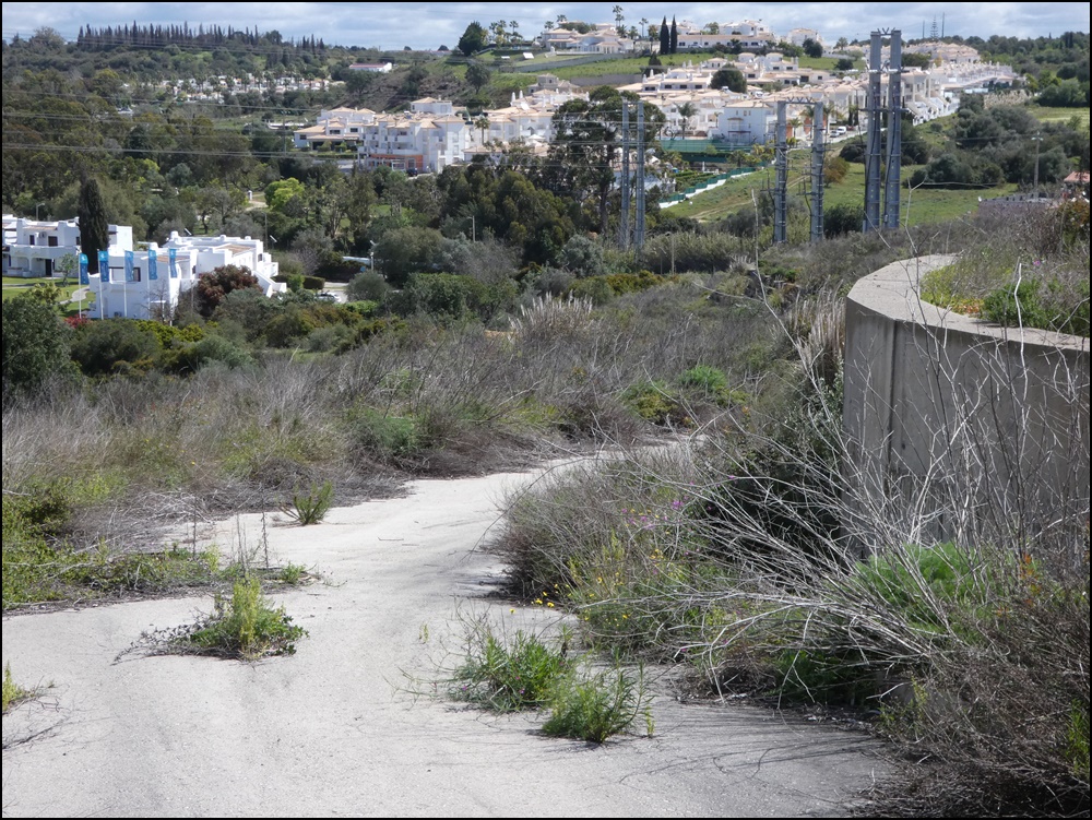 Albufeira-Quinta-da-Bolota-020420 (3)