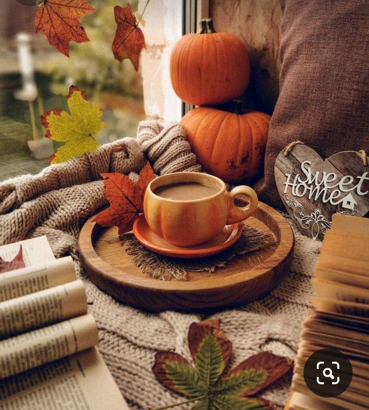 Screenshot_20230905_020230_Pinterest