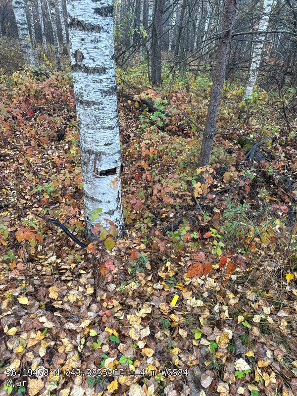 7DCB338B-C3DF-4103-AE9B-87D2CFD61BEF-54876-00000FBBE3026049