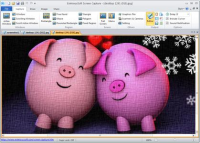 51c1851f 4605 403d bd06 d9bf09e9f361 - EximiousSoft Screen Capture 2.10