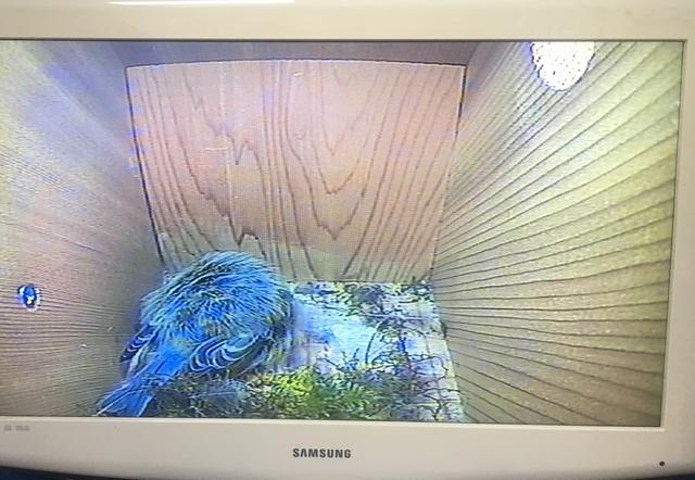 64D20EBC-AED2-4AB6-9D10-53B888CE612A