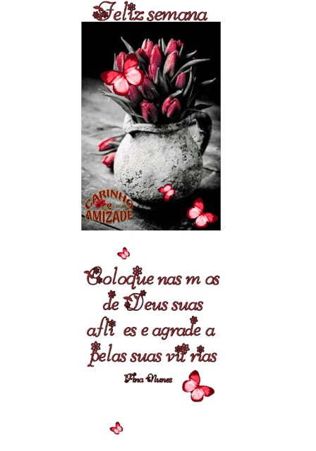 oie-oie-overlay.gif