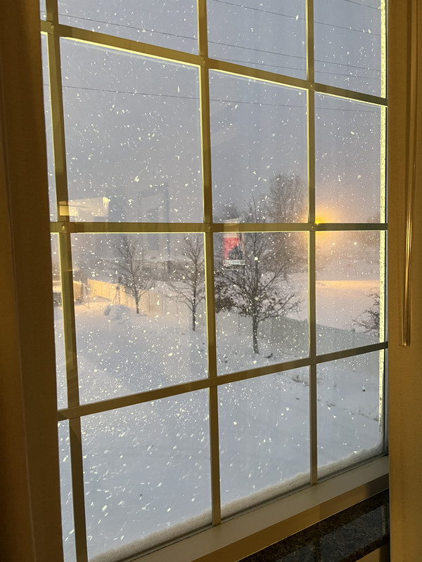 9B73E3DB-0DF1-4706-AA2B-A504B5962C90