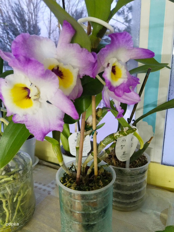 e0659083-1398-4d88-b59e-875c175bf9d3