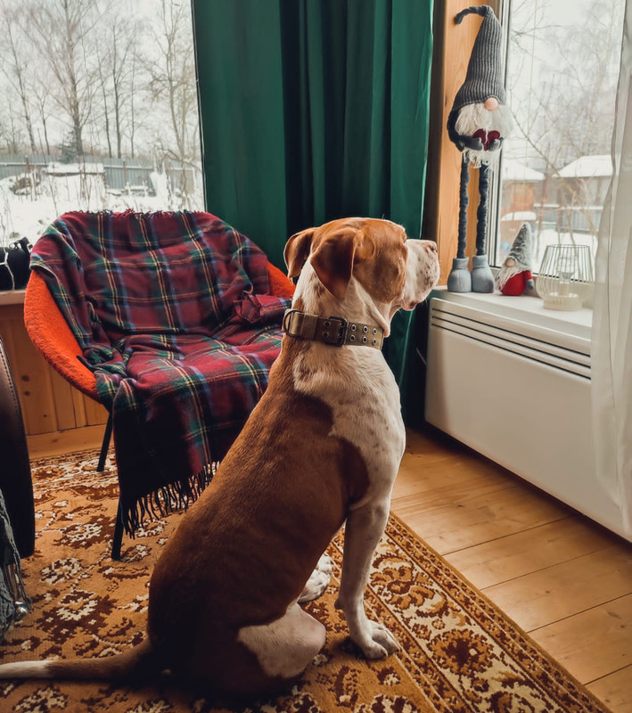 ED3B14D4-0066-4A58-B183-E1DAE607DD4A