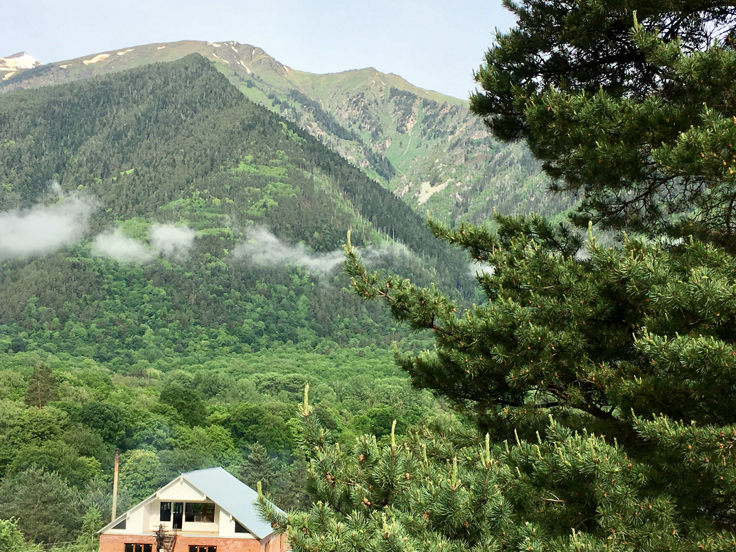 8A3D9B6A-2191-499C-816C-6AC6ACE96333