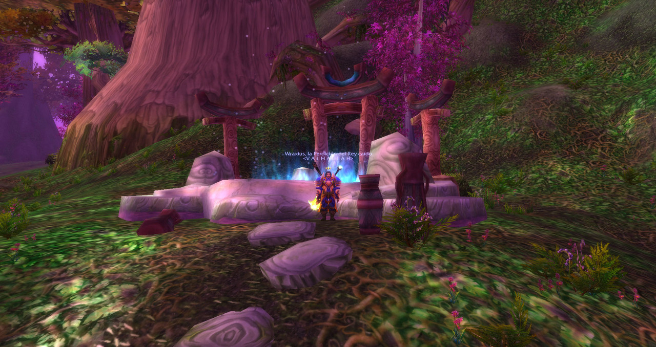 WoWScrnShot_091022_052535