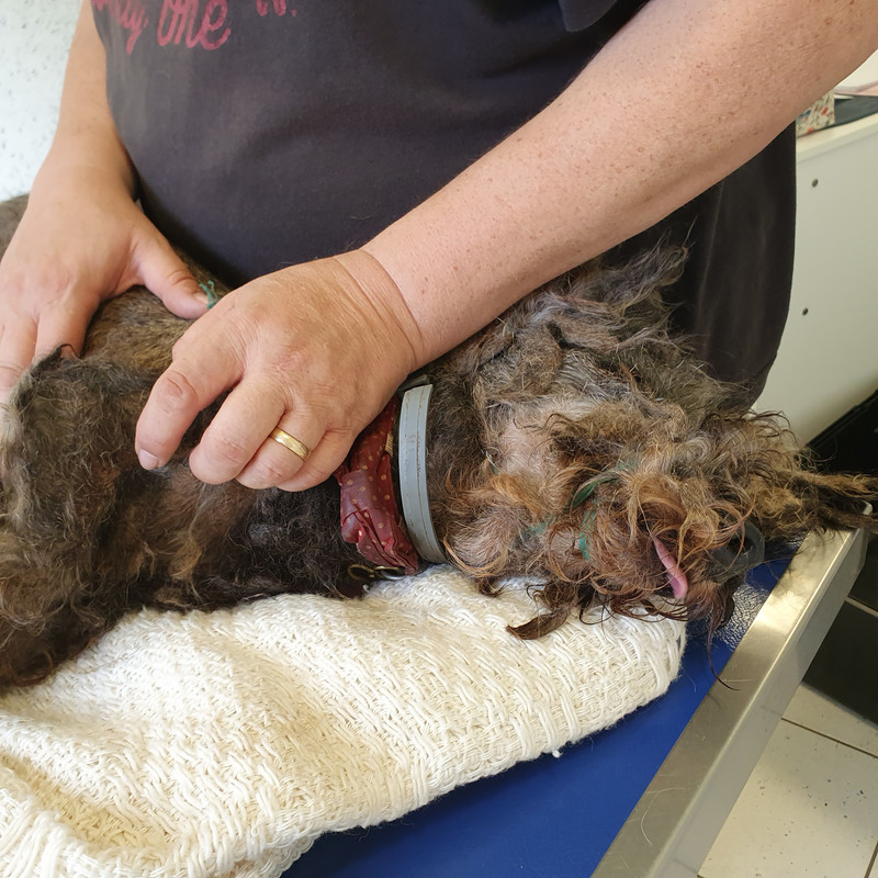 [Image: 20210603-184308.jpg]