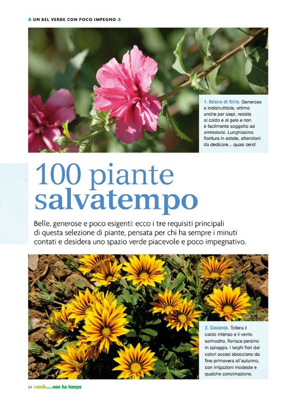 Pol Ver Spe Apr-Mag 2023 (9)