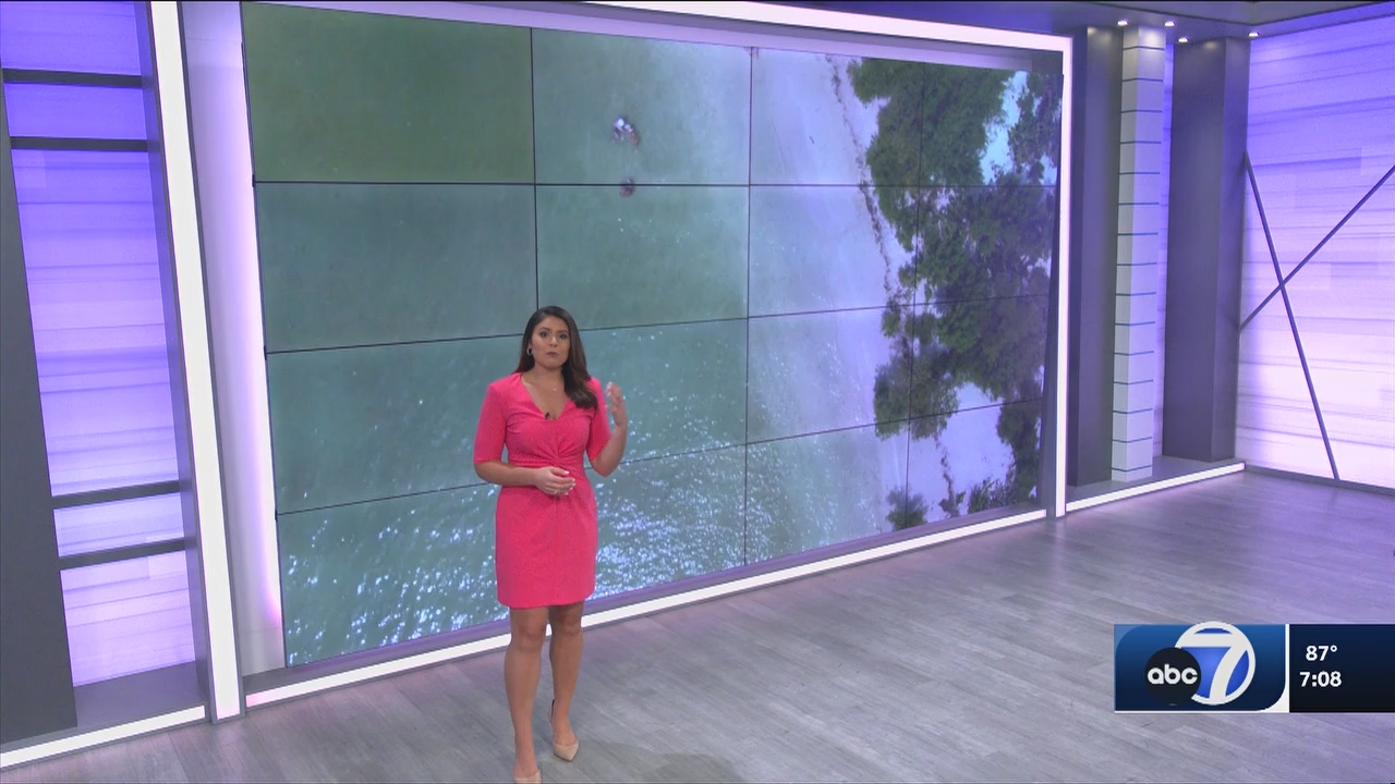 09.18 - 00.00.00 - ABC7 7O'Clock News  ᴺᵉʷ..ts_snapshot_10.48.230