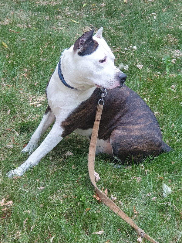 D5CBF0DA-B479-4A44-A6B5-03FA43F3858A