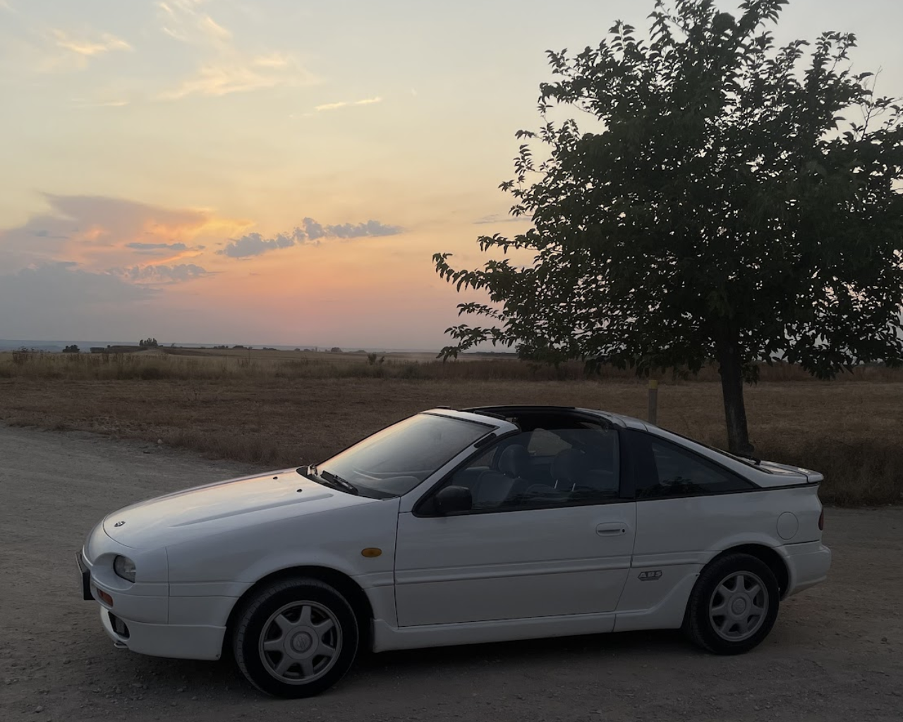 imagen 2026 02 16 201826325